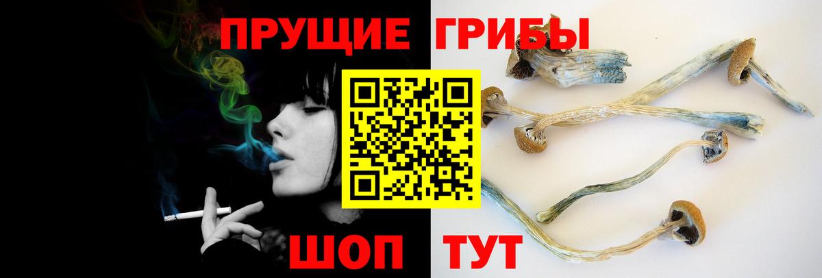 Изобильный  Псилоцибиновые грибы Psilocybine cubensis  Вход с VPN 